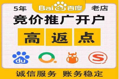 某公司如何通过SEM实现精准营销——从策略到执行的完整案例